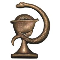 CZ/SK Metallabzeichen,  bronze, „Arzt“,  neuw. (10 Stück)