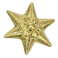 Ungar. Metallabzeichen,  gold, „Stern“,  neuw. (10 Stück)
